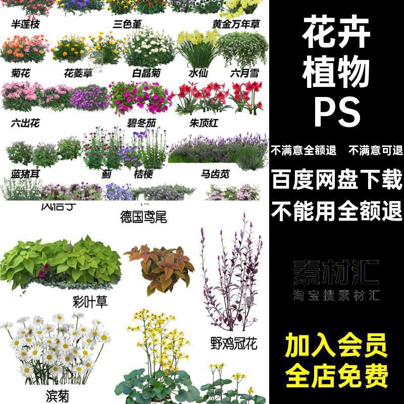 花卉花镜PNG效果图园林景观procreate素材PSD免抠地被植物花境