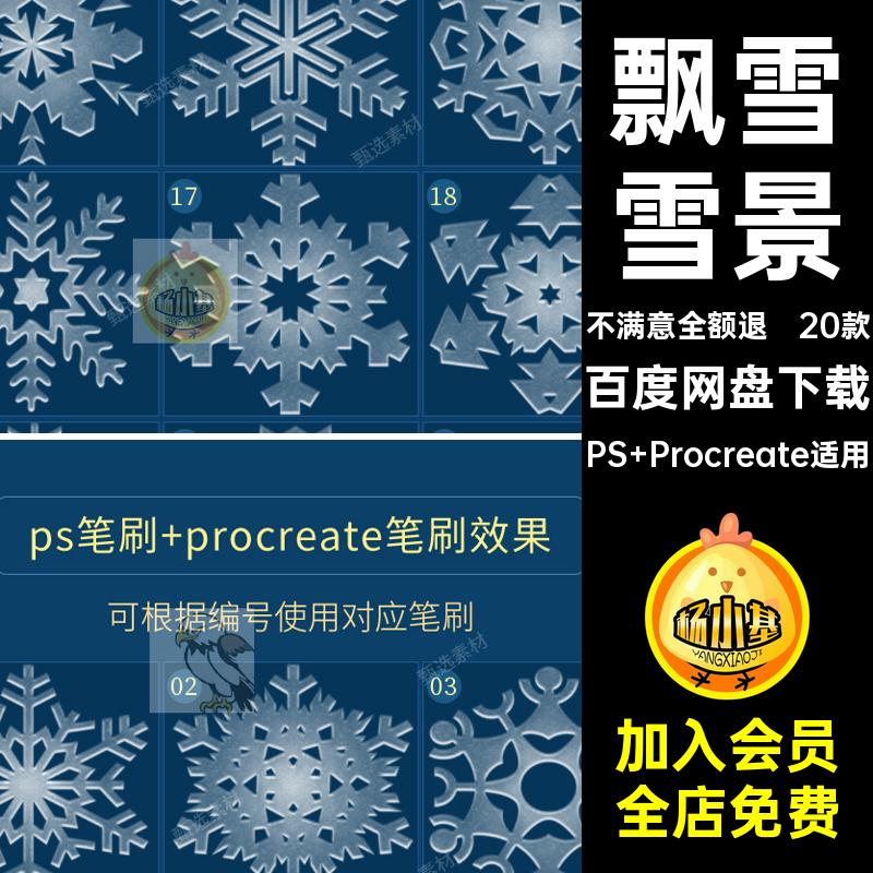 20款圣诞雪景冰晶ps下雪procreate雪花笔刷冬天飘雪冰霜绘画节日