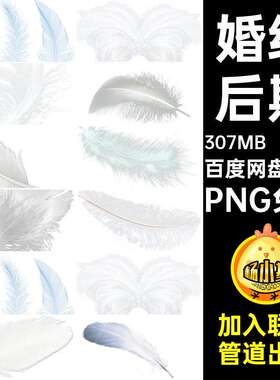 150款婚纱后期翅膀白色叠图免天使ps羽翼羽毛素材PNG免扣
