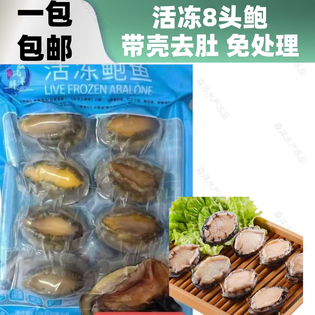 带壳去肚活冻八头鲍鱼海鲜商用