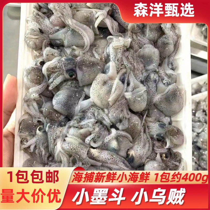 海捕小墨斗鱼新鲜海鲜乌贼鱼墨斗鱼目鱼墨鱼仔目鱼仔八爪鱼鱿鱼