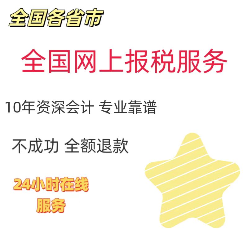 个体企业网上报税 0零申报财务税务代理代理记账会计远程报税-封面