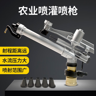 德龙DLPY40喷枪农业增压喷雾水平摇臂喷枪果园农灌溉节水工具设备