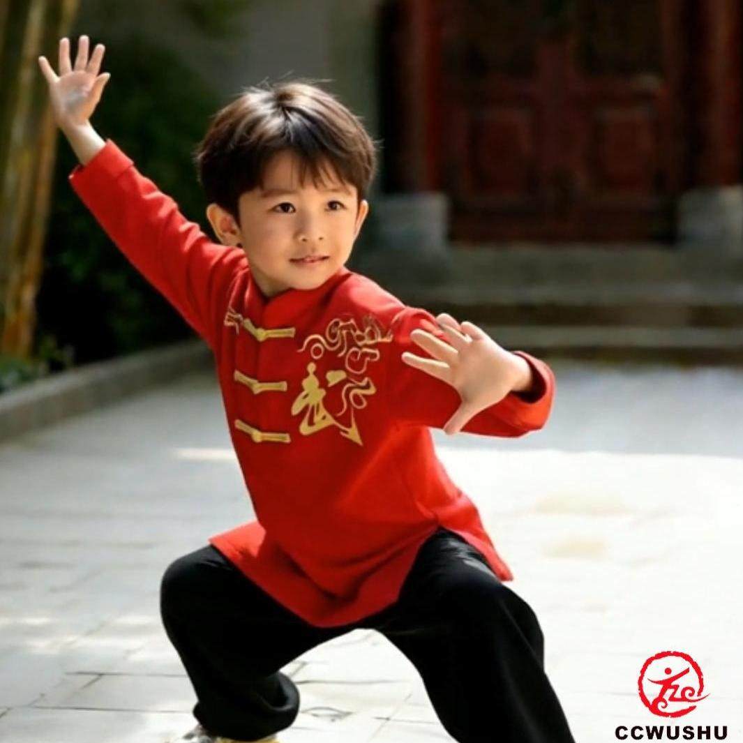 太极t恤女武术t恤太极短袖t恤太极图案t恤短袖夏太极服武术服儿童