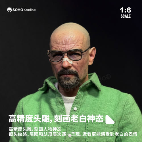 绝命毒师1/6老白海森堡可动手办
