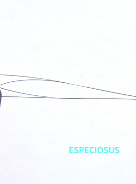 ESPECIOSUS串珠引线手工专用针