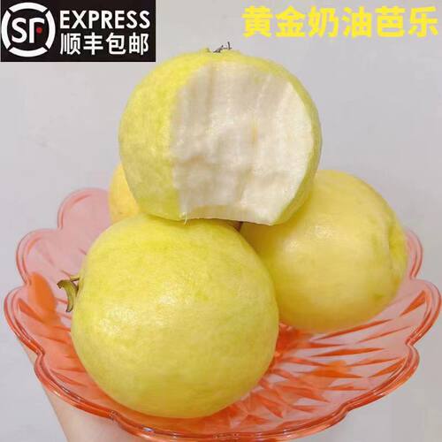 台湾珍珠奶油芭乐当季新鲜水果