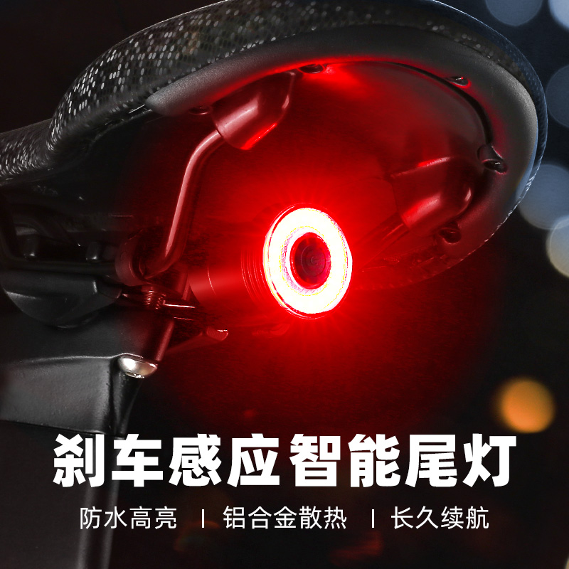 TOOKTRO自行车智能感应刹车尾灯