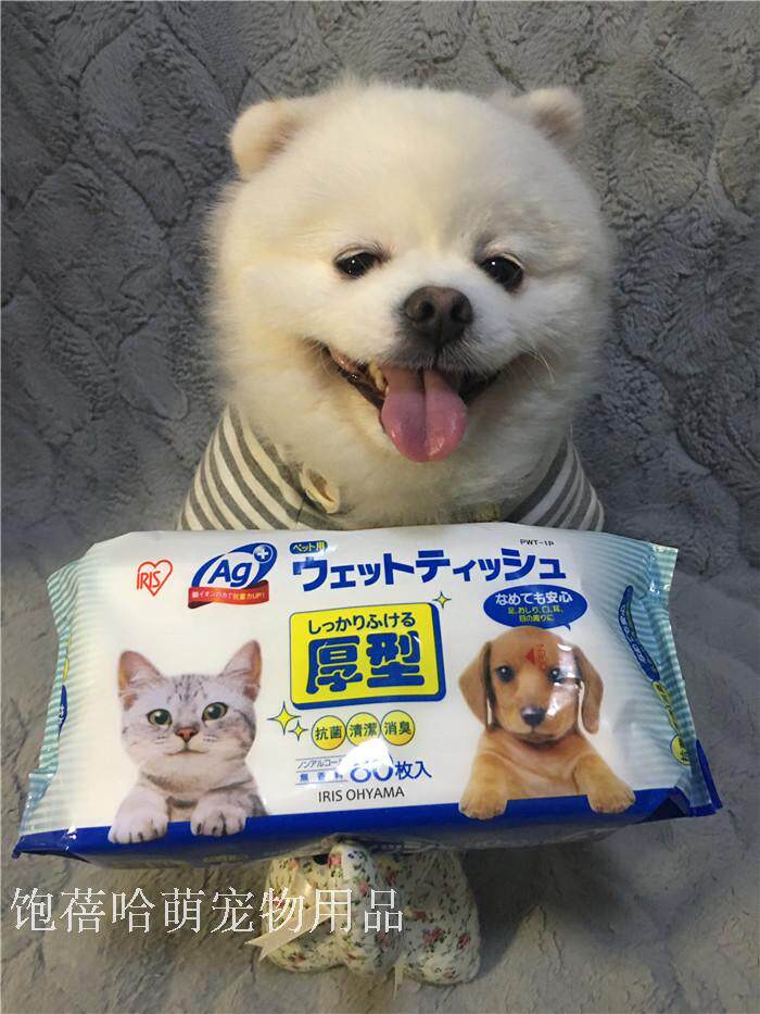 宠物湿巾纸猫咪狗消毒湿纸巾多少钱 宠物湿巾纸猫咪狗消毒湿纸巾优惠券免费领取 有条鱼