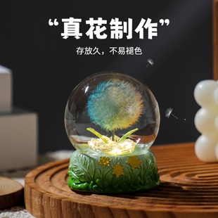 发光蒲公英干花永生花手工成品摆件生日礼物送女友闺蜜同学毕业季