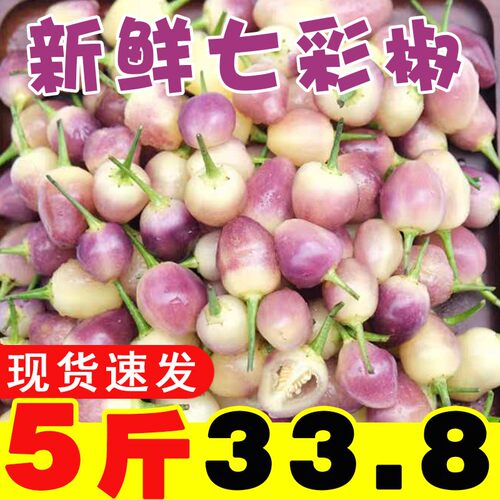 五彩椒植果优泡椒七彩椒