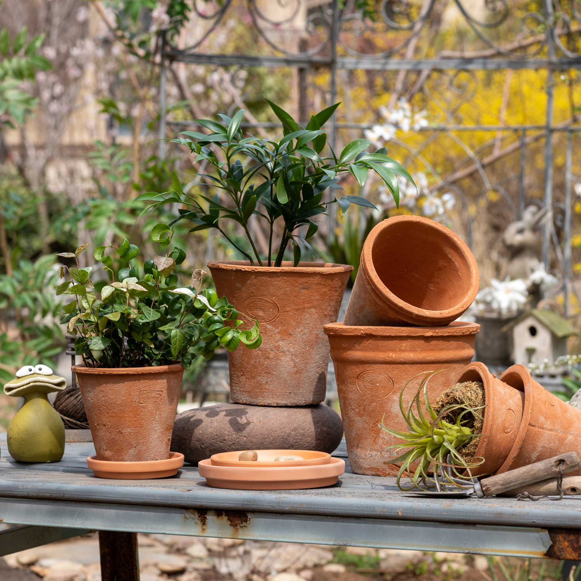 红陶多肉小花盆粗陶陶土透气吸水泥瓦盆户外育苗家用种植盆