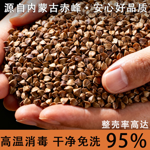 10斤免洗荞麦壳散装荞麦皮儿童枕头学生夏天凉枕芯成人家用填充物