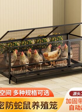加密防蛇鼠养殖笼超大空间户外家用鸡笼自动出蛋鸡笼子