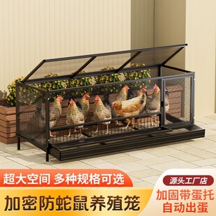加密防蛇鼠养殖笼超大空间户外家用鸡笼自动出蛋鸡笼子