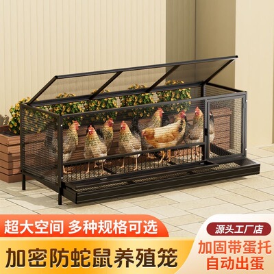 加密防蛇鼠养殖笼超大空间户外家用鸡笼自动出蛋鸡笼子