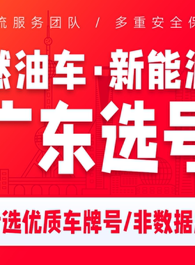 广州深圳车牌选号东莞佛山珠海中山惠州新能源车自编自选占用查询