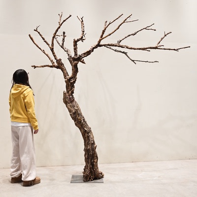 天然实木干树枝装饰枯树造型树