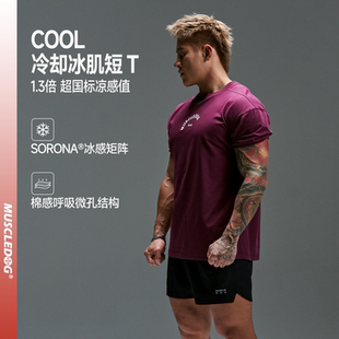 【好物体验专享】肌肉狗 运动t恤男26年新品凉感休闲健身短袖上衣