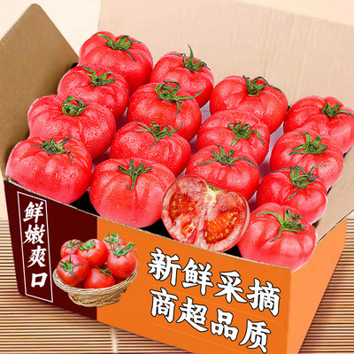 沙瓤西红柿12-18颗，老农精选！