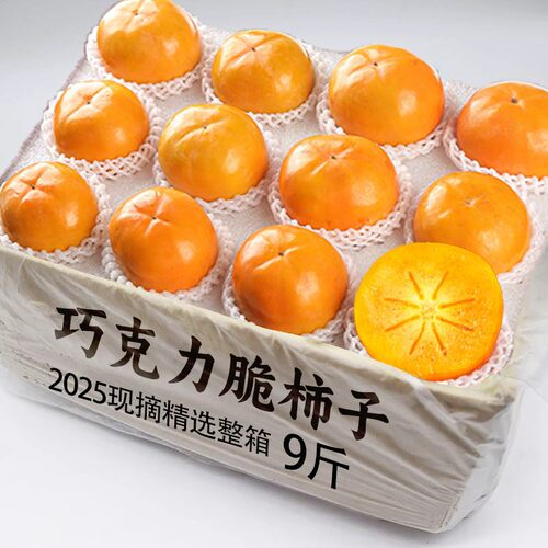 现摘精品脆柿子新鲜脆甜水果整箱当季包邮黄甜硬巧克力柿火晶包邮