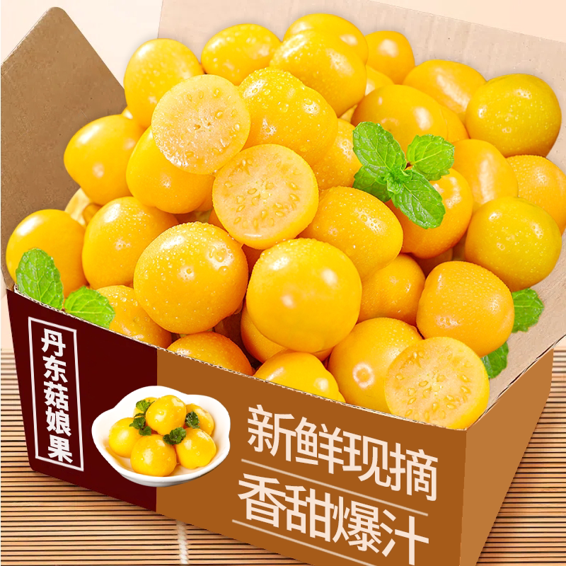 东北姑娘果东北特产灯笼果新鲜水果姑鸟黄菇娘果整箱现摘包邮发货图片