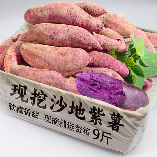 紫薯新鲜农家自种沙地红薯紫罗兰蜜薯糖心甜山芋番薯蔬菜地瓜包邮