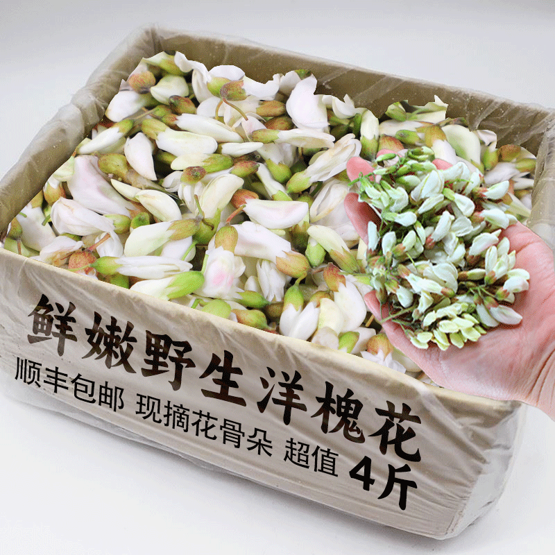 2024新鲜洋槐花现摘山野菜时令应当季蔬菜杨槐树花骨朵苞河南特产 水产肉类/新鲜蔬果/熟食 食用花卉/玫瑰花/洋槐花/桂花 原图主图