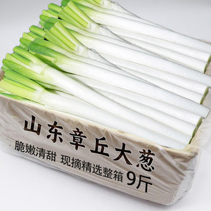 山东章丘大葱3斤新鲜现摘