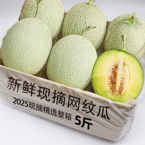 现摘网纹瓜新鲜现摘网纹玫珑瓜新鲜哈密瓜当季水果玲珑冰淇淋蜜瓜