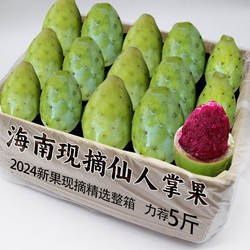 海南仙人掌果实仙桃整箱南方野生果应当季罕见奇特热带水果包邮发