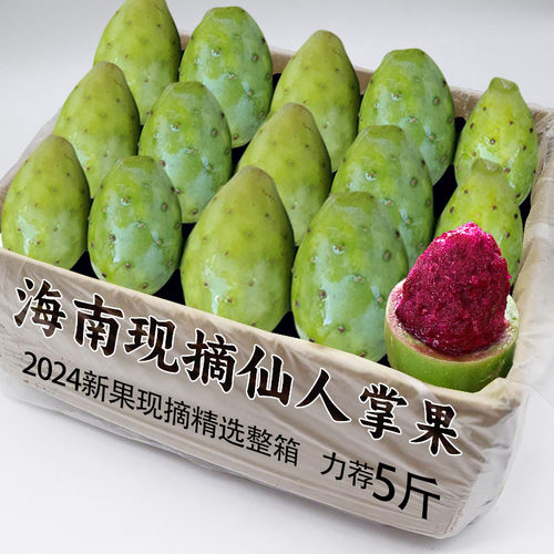 海南仙人掌果2斤罕见奇特热带果