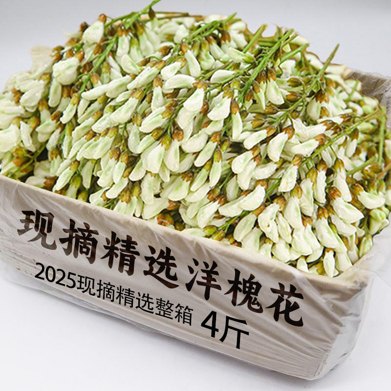 顺丰包邮新鲜洋槐花新鲜现摘槐花应季当季时令野生槐花杨槐花包邮