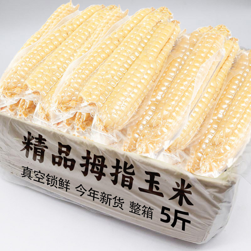 1�� ��հ�װ ����Ĵָ����5����ŴС���װ���