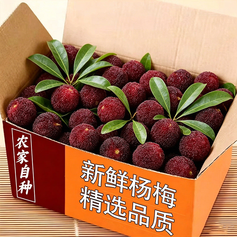 新鲜贵州小杨梅鲜果当季新鲜水果荸荠现摘整箱孕妇整箱泡酒包邮发