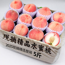 现摘水蜜桃5斤大桃子新鲜水果应当季整箱包邮软时令脆甜毛桃密桃