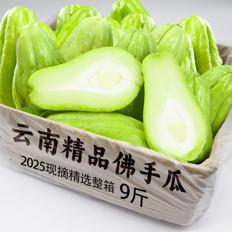 佛手瓜新鲜云南现摘佛手瓜当季