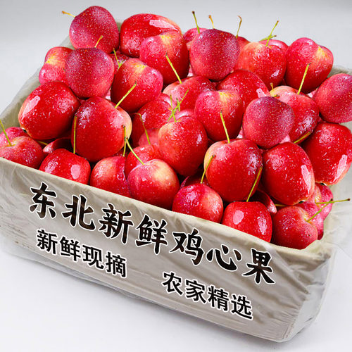 正宗东北鸡心果现摘特产小苹果锦绣海棠果秋沙果新鲜水果整箱包邮