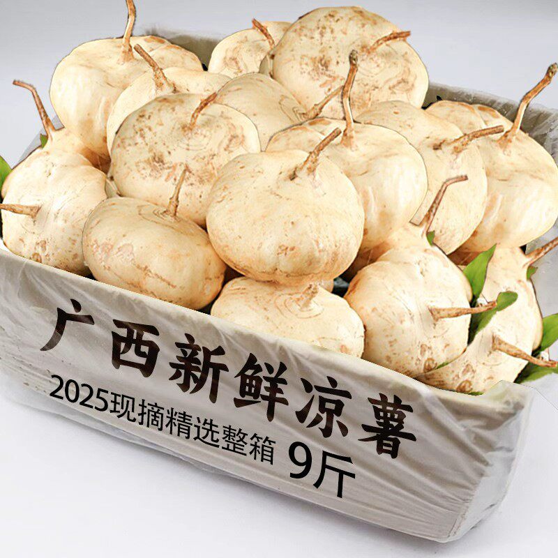 新鲜现挖凉薯9斤带泥脆甜无渣白心脆甜地瓜农家地萝卜白地瓜山5芋