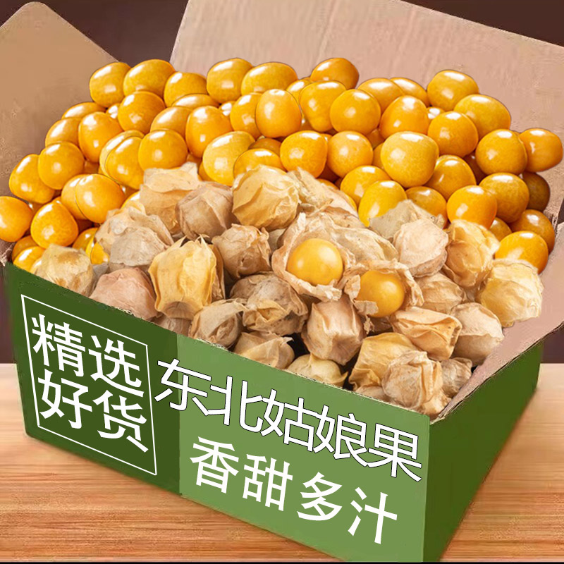 现货东北姑娘果当季灯笼果时令水果黄菇娘甜菇娘东北特产整箱包邮