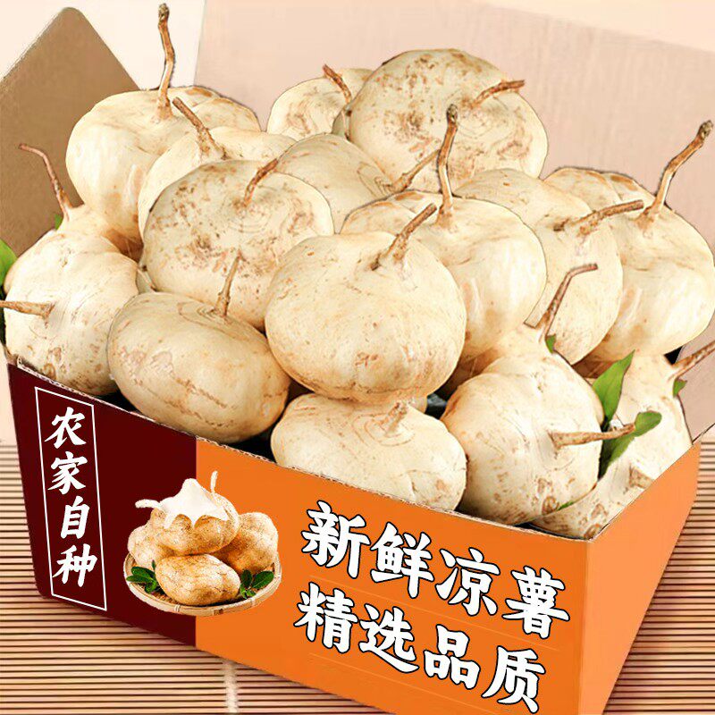 新鲜现挖凉薯9斤带泥脆甜无渣白心脆甜地瓜农家地萝卜白地瓜山5芋