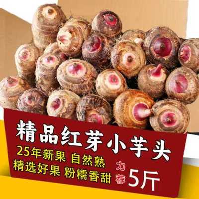2025红芽芋头现挖红芽芋头仔农家自种红嘴小毛芋香芋奶软粘粉包邮