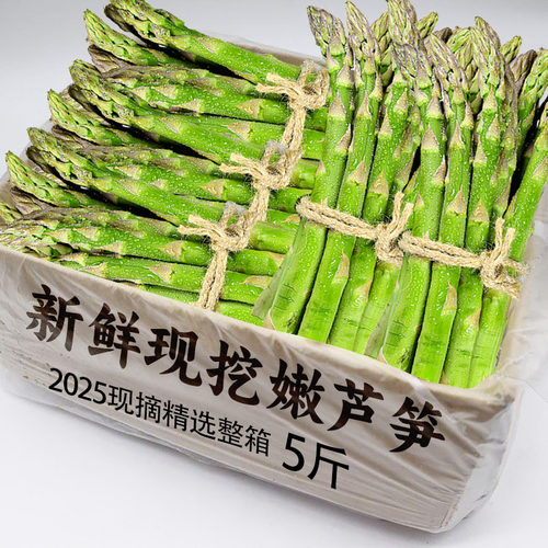 芦笋新鲜产地直销现挖嫩青笋绿鲜芦笋嫩当季蔬菜卢笋现挖新鲜包邮