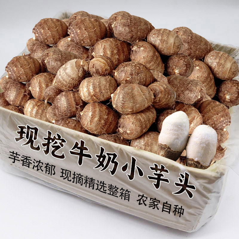 牛奶小芋头精品15颗装，日限一单