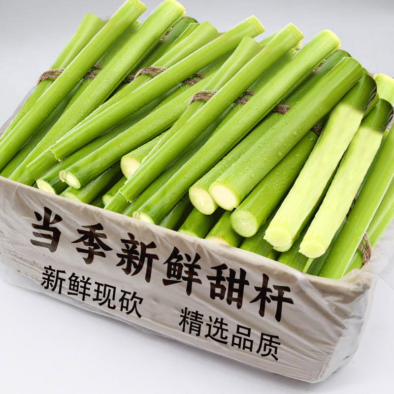 新鲜现砍甜芦粟甜杆甜新鲜包邮