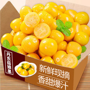 东北姑娘果特产水果新鲜当季整箱灯笼果黄菇娘洋姑娘果大果甜菇凉