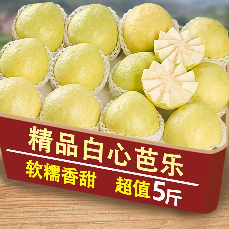 现摘广西新鲜正宗软糯奶油芭乐新鲜水果当季软心番石榴鸡屎果包邮