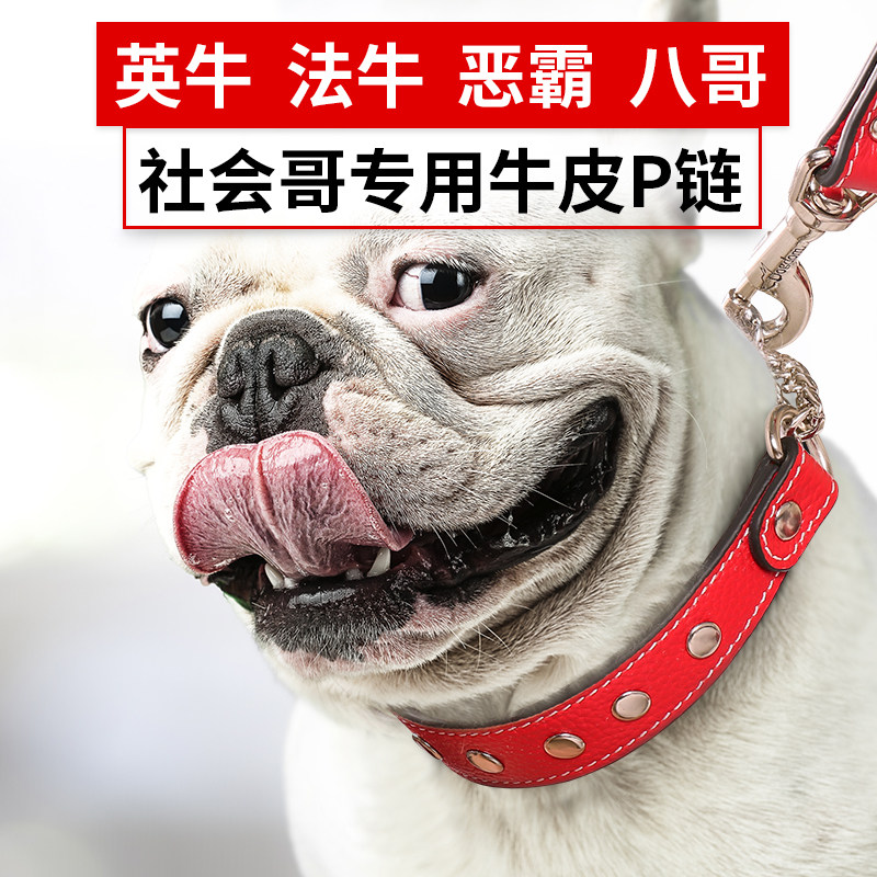 中型小型犬狗狗遛狗英牛法牛八哥恶霸绳子项圈狗链子P链牵引绳带