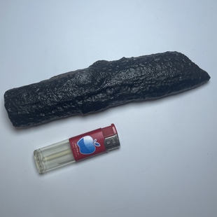 新疆五彩湾蓝光硅化铁原石摆件棒棒料20cm *4.5cm 566克297