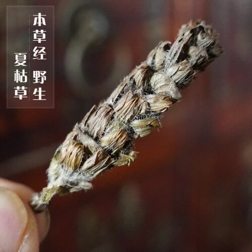 夏枯草中药材野生夏枯球